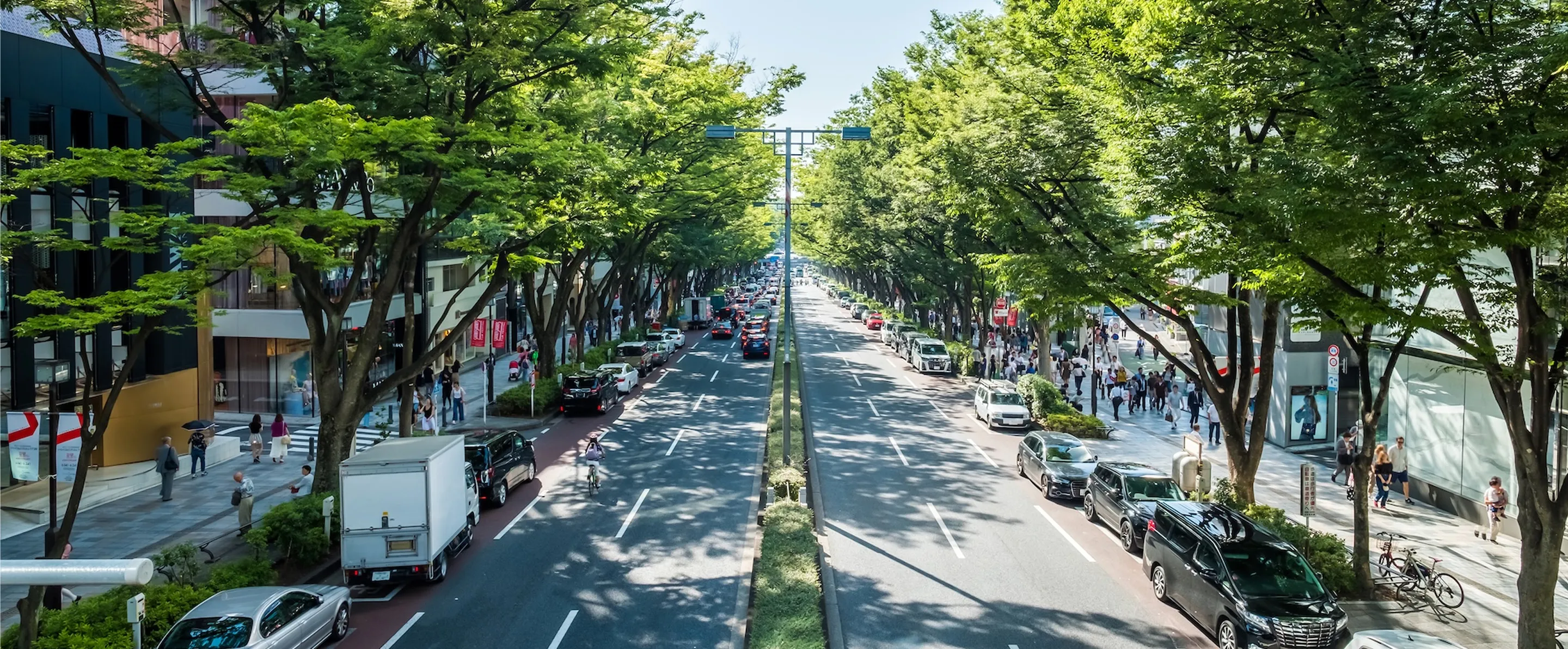 緑豊かな並木道と都市風景