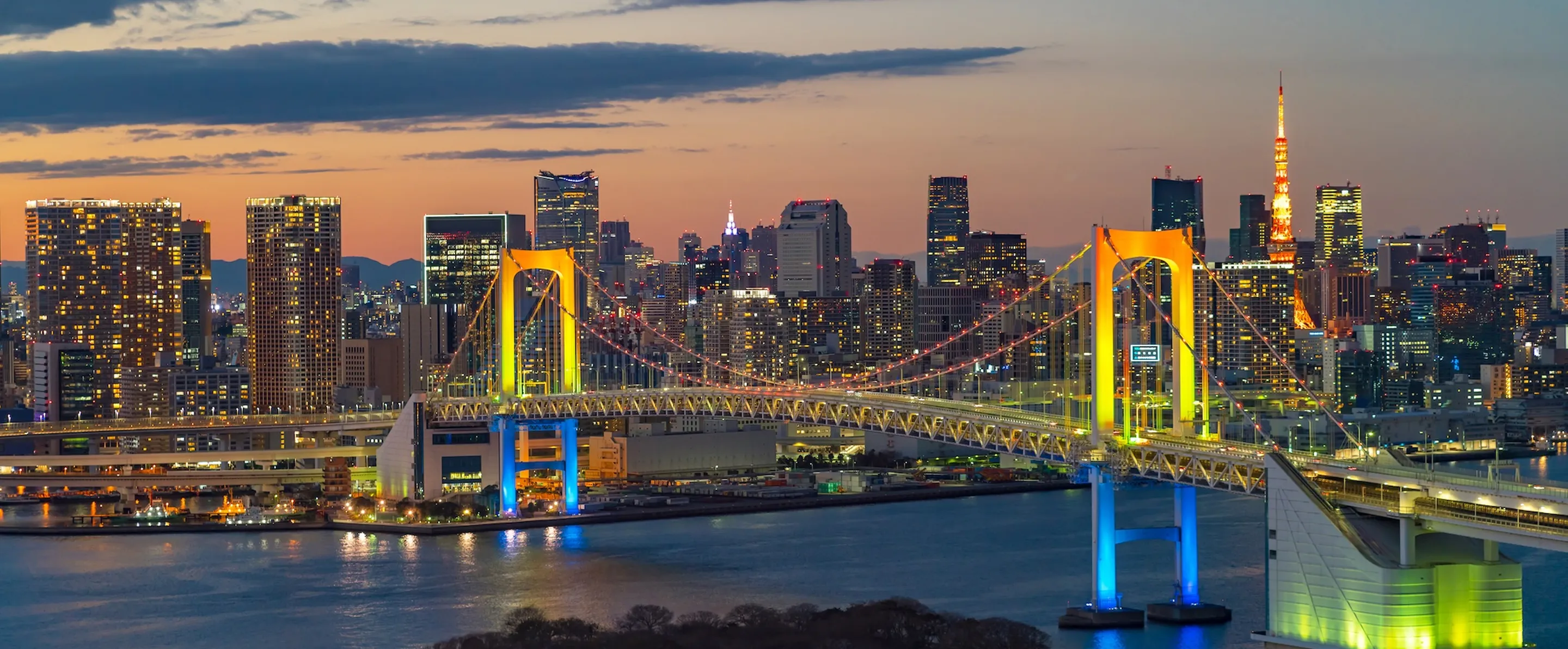 東京湾を彩る夜の都市景観